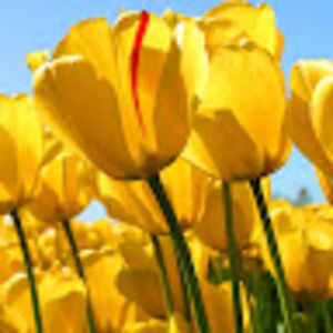 Meet your Posher, Arielle